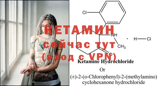 ГАЛЛЮЦИНОГЕННЫЕ ГРИБЫ Ельня