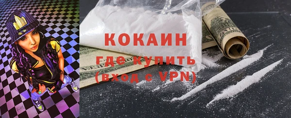 ГАЛЛЮЦИНОГЕННЫЕ ГРИБЫ Ельня