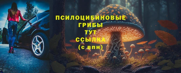ГАЛЛЮЦИНОГЕННЫЕ ГРИБЫ Ельня