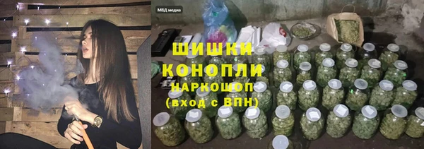 ГАЛЛЮЦИНОГЕННЫЕ ГРИБЫ Ельня