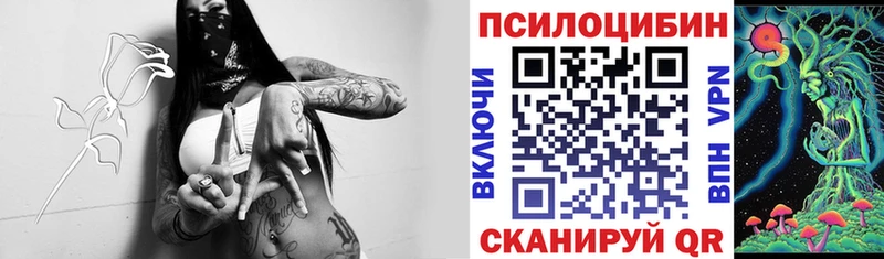 цены   Рошаль  Псилоцибиновые грибы мицелий 